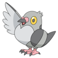 519Pidove BW anime.png