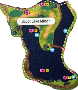 Galar South Lake Miloch dens SwSh.png