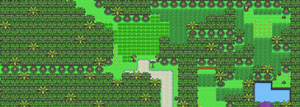 Sinnoh Route 229 Pt.png