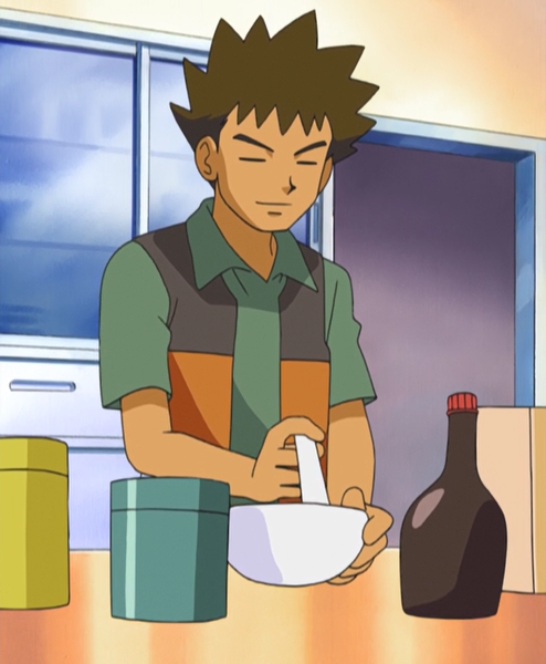 File:Brock preparing Pokémon food.png