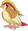 018Pidgeot OS anime 3.png