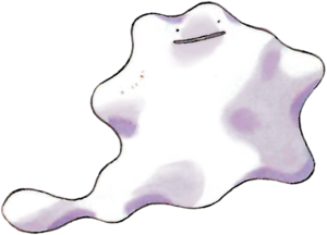 132Ditto RB.png