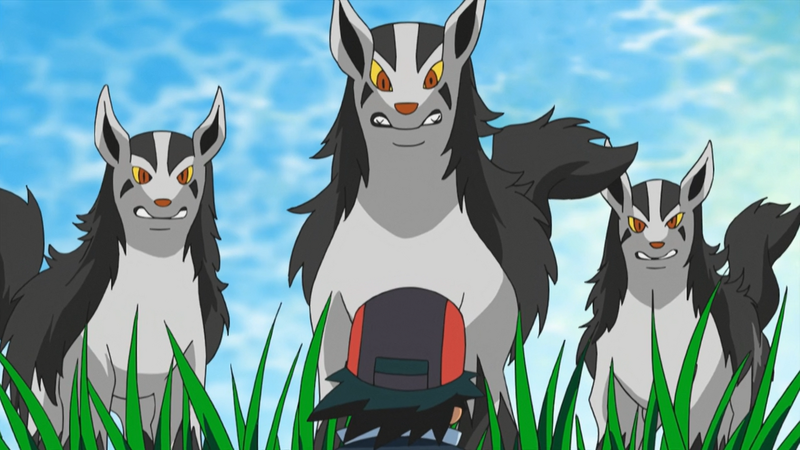 File:Xatu Forest Mightyena.png