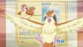 Red Pidgey PO.png