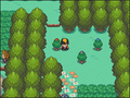 Route 37 Apricorns IV.png